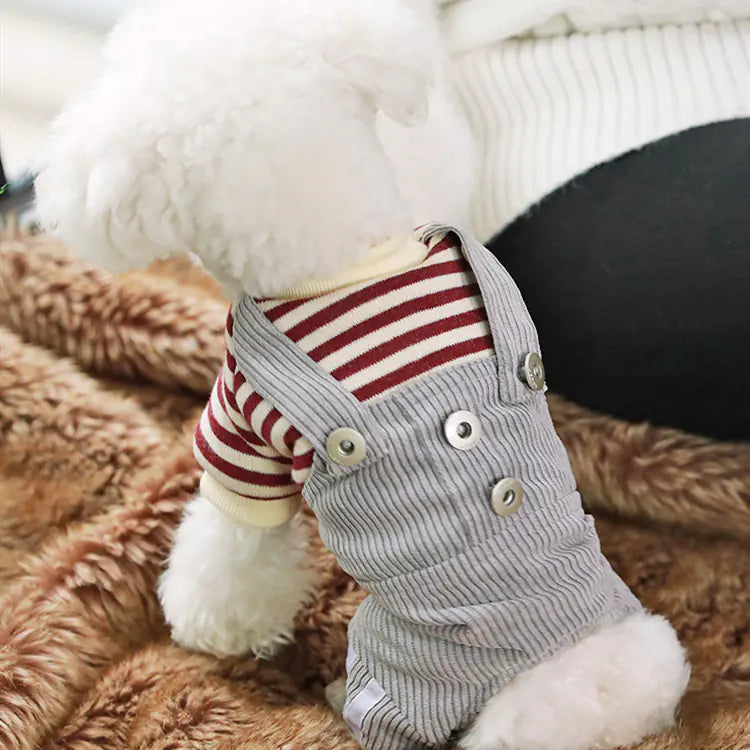Dog Clothes for Small Breeds - Spring/Fall Fashion Wear