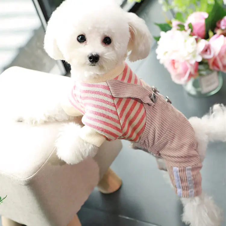 Dog Clothes for Small Breeds - Spring/Fall Fashion Wear