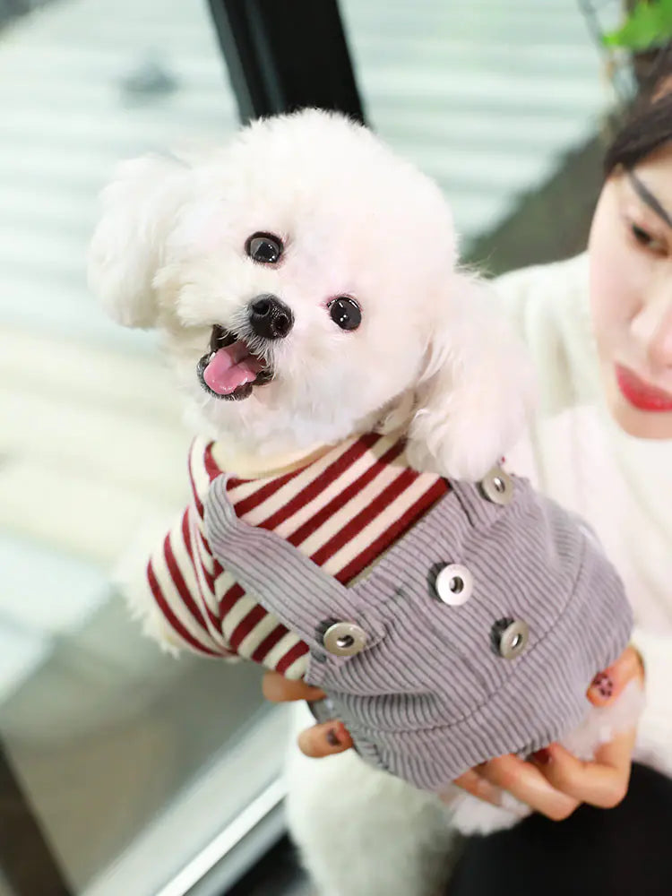 Dog Clothes for Small Breeds - Spring/Fall Fashion Wear