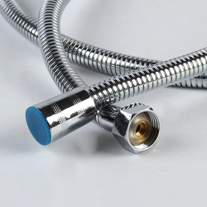 300 Hole Powerful Shower Head with Handheld Design