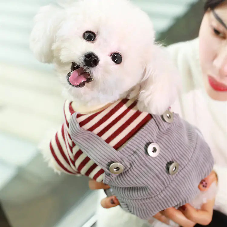 Dog Clothes for Small Breeds - Spring/Fall Fashion Wear